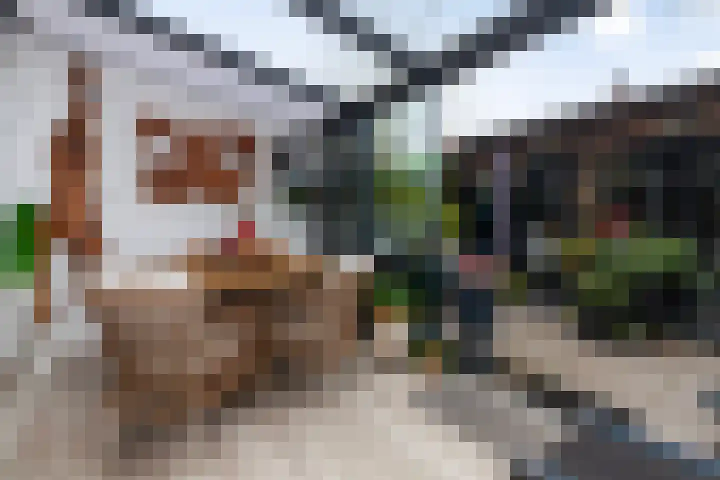 Damsterdiep 72 Dordrecht thumbnail 26