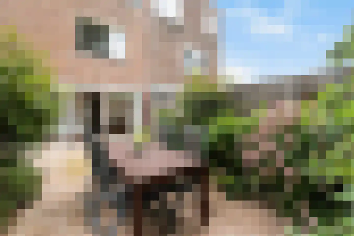 Damsterdiep 76 Dordrecht thumbnail 25