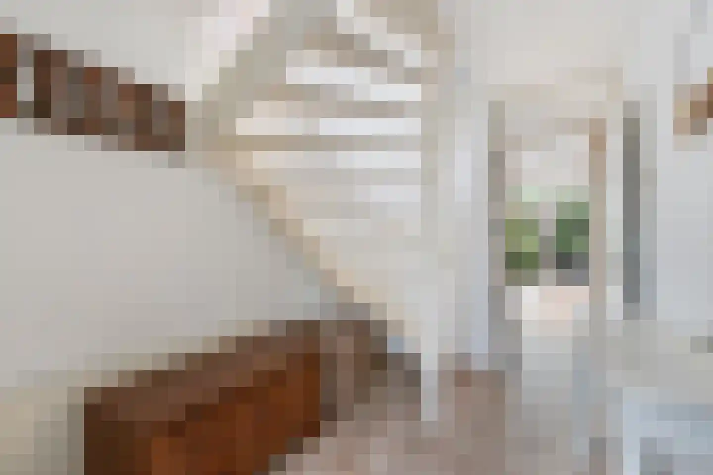 Damsterdiep 76 Dordrecht thumbnail 5