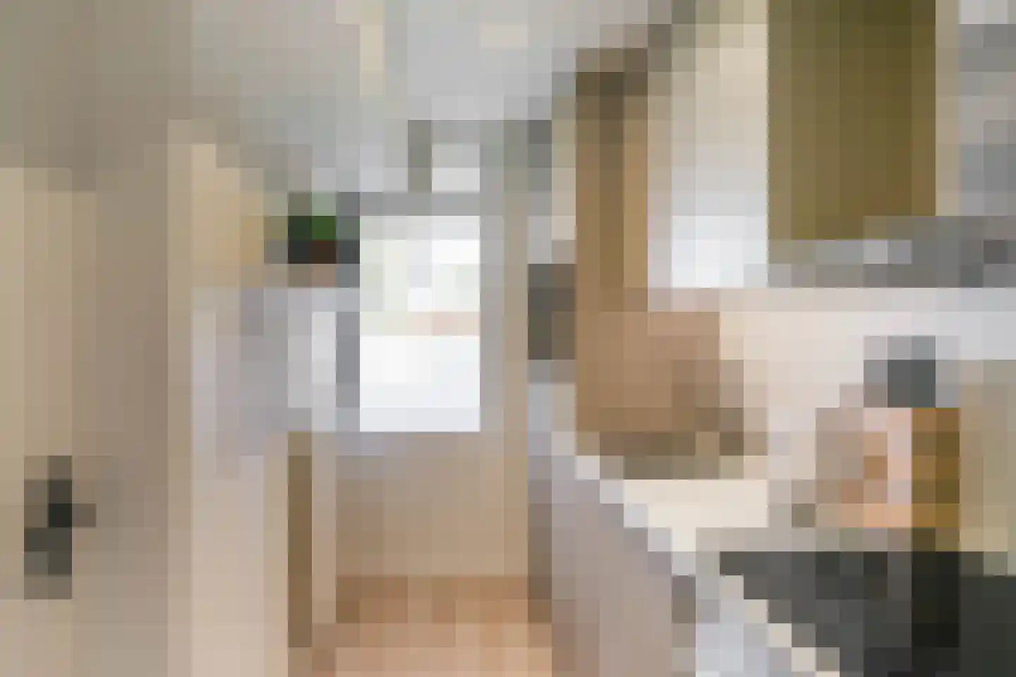 Damsterdiep 79 Groningen thumbnail 21