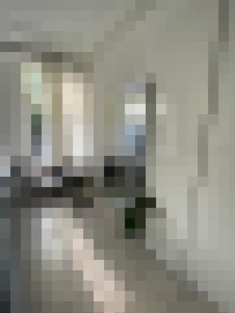 Damsterdiep 8 Groningen thumbnail 4