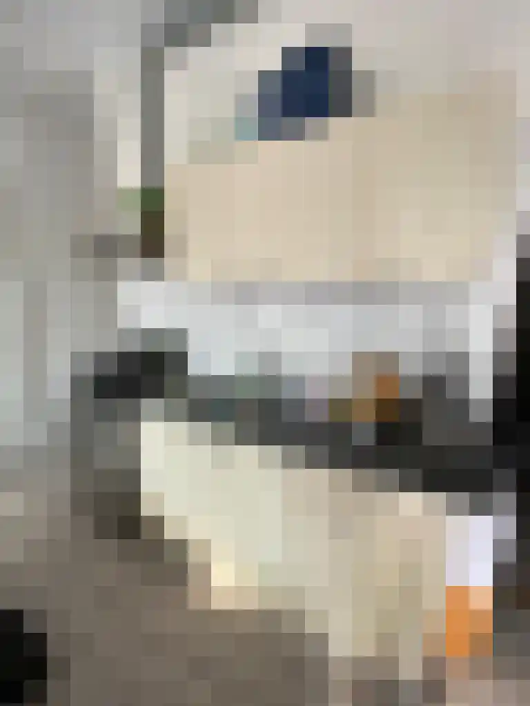 Damsterdiep 8 Groningen thumbnail 5