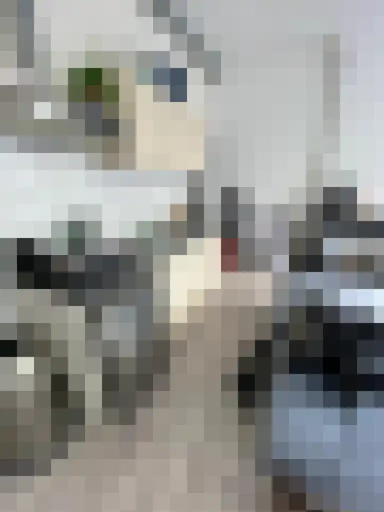 Damsterdiep 8 Groningen thumbnail 6
