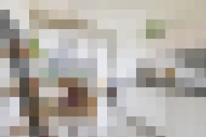 Damsterdiep 89 Groningen thumbnail 17