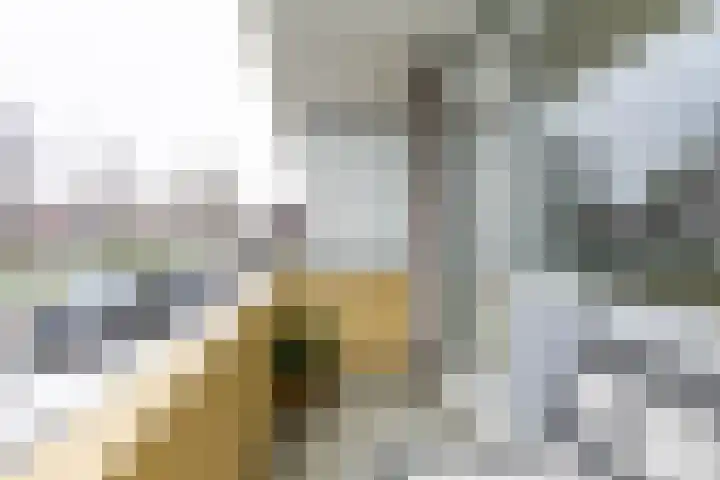 Damsterdiep 89 Groningen thumbnail 22
