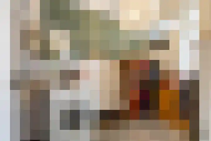 Damsterdiep 89 Groningen thumbnail 30