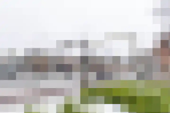 Damsterdiep 89 Groningen thumbnail 37