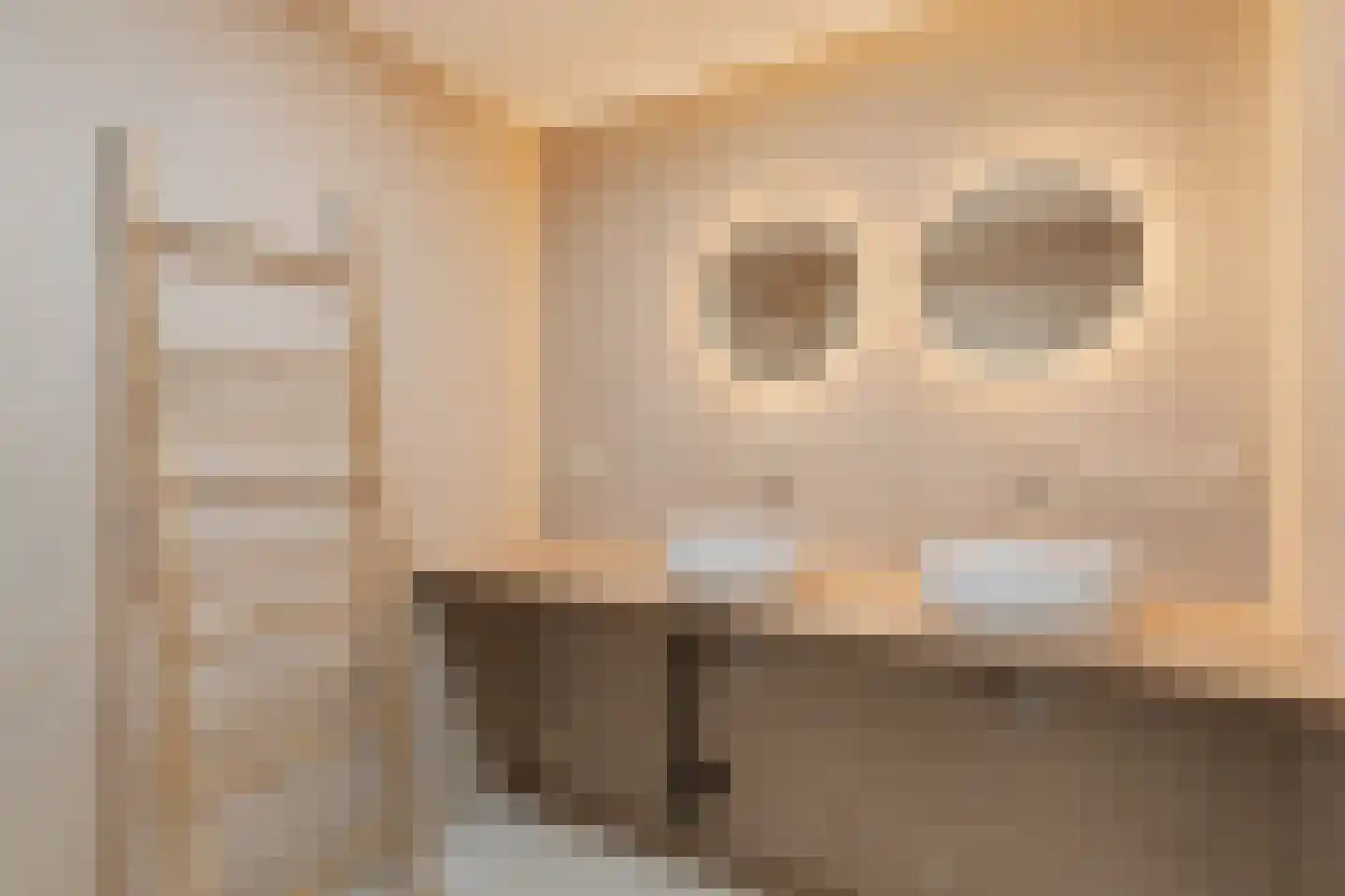 Damsterdiep 9 Capelle aan den IJssel thumbnail 5