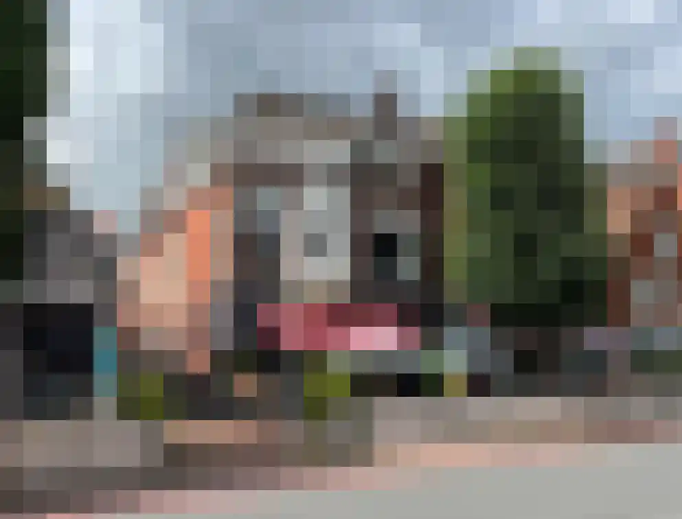 Damsterdiep Groningen