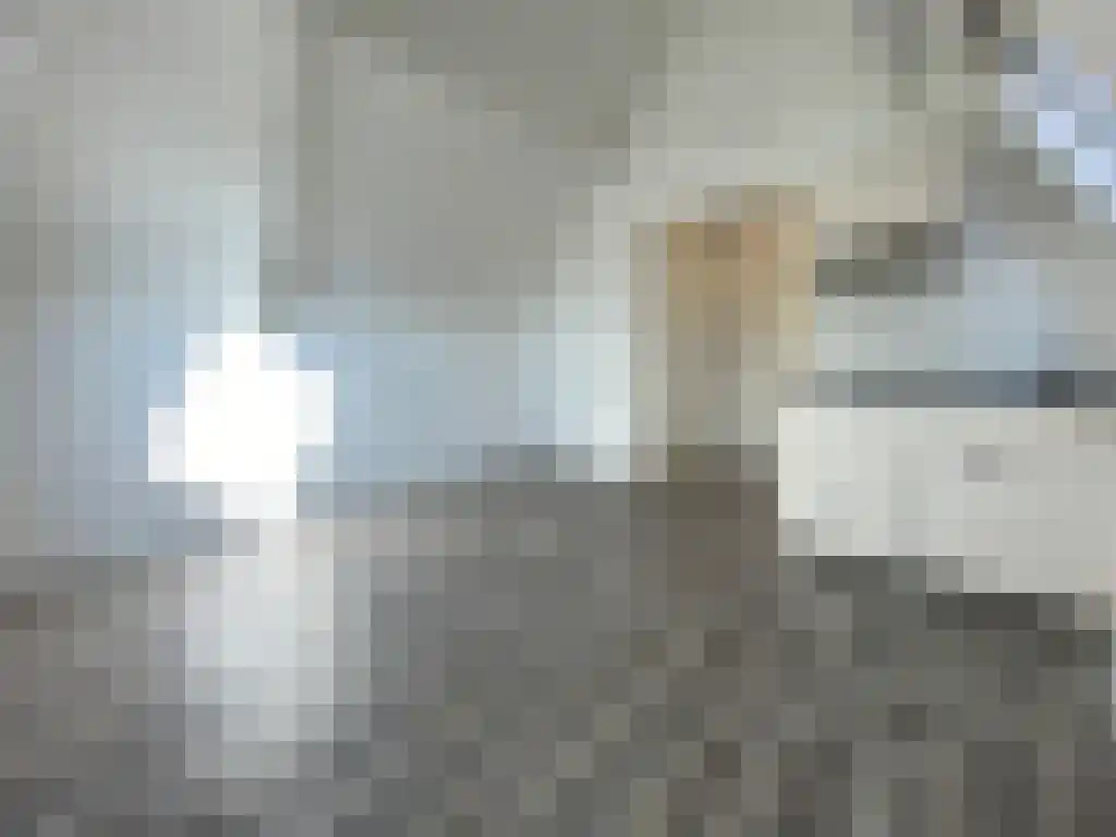 Damsterdiep Groningen thumbnail 4