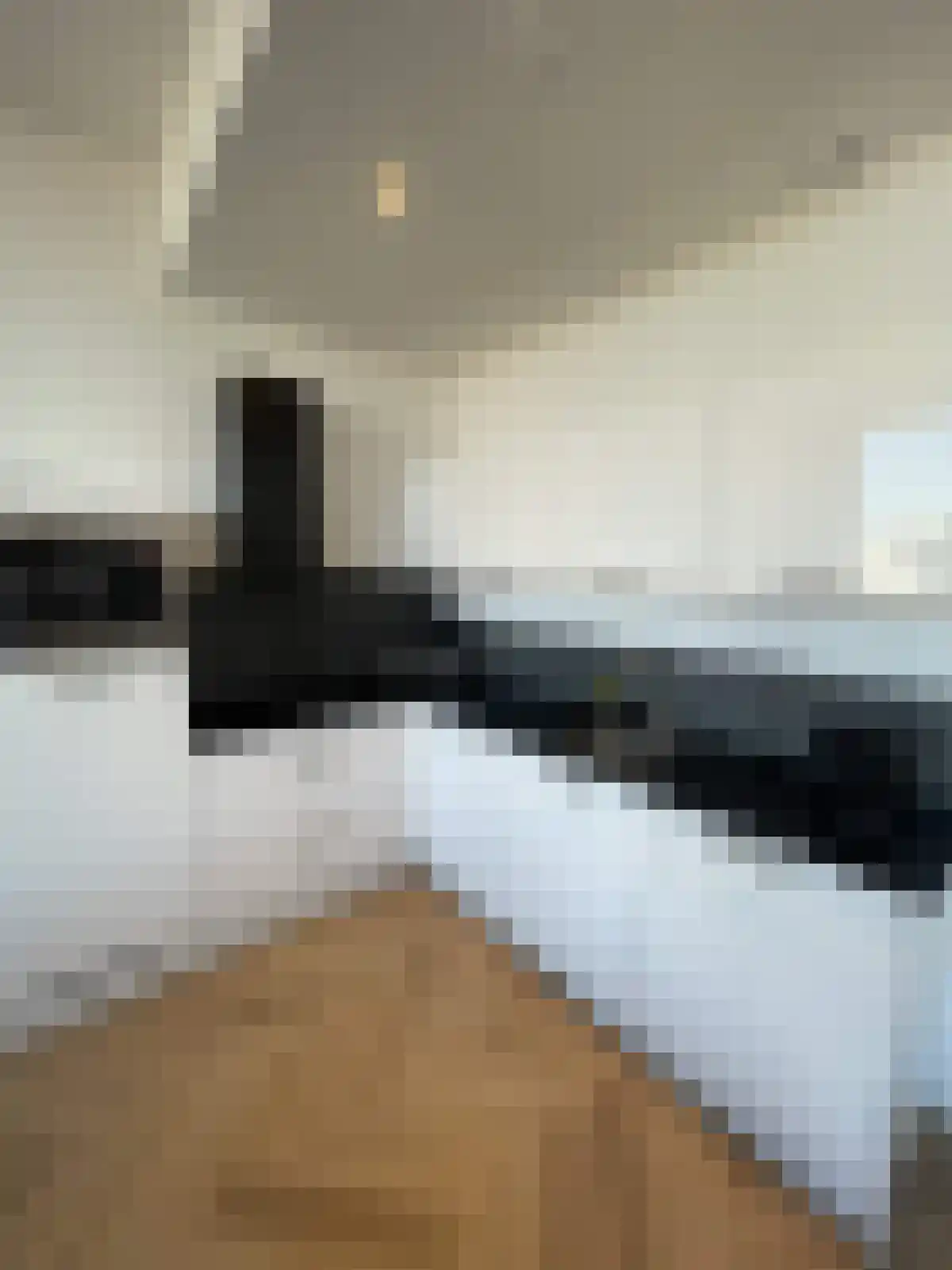 Damsterdiep Groningen thumbnail 5