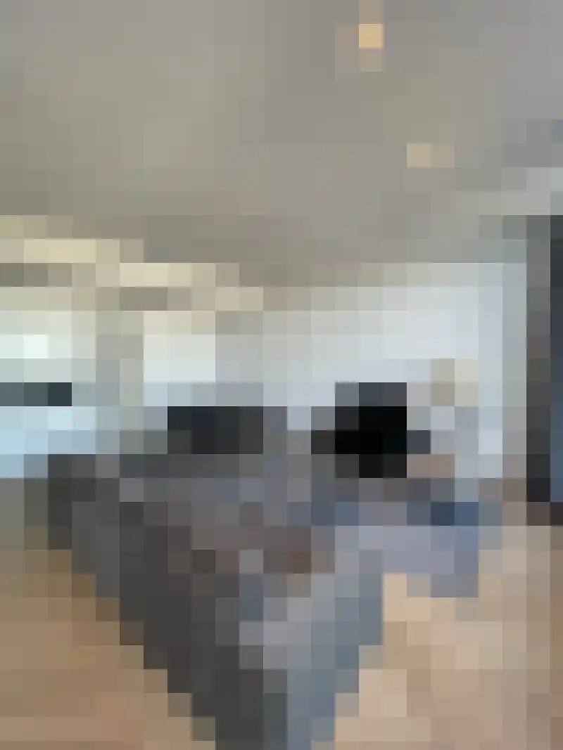 Damsterdiep Groningen thumbnail 9