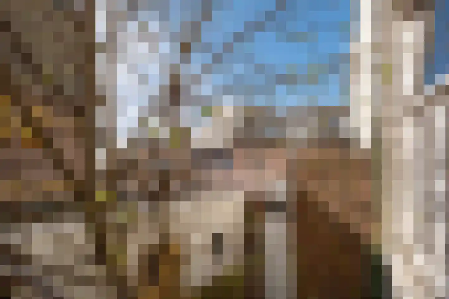 Damsterkade 4 Groningen thumbnail 49