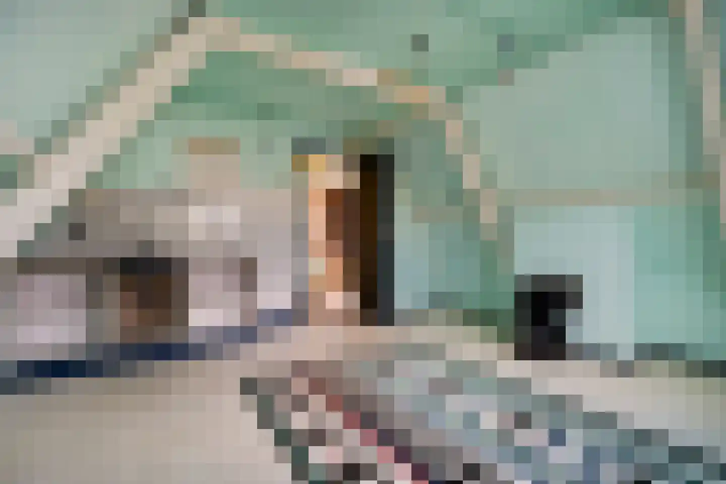 Damsterkade 4 Groningen thumbnail 59