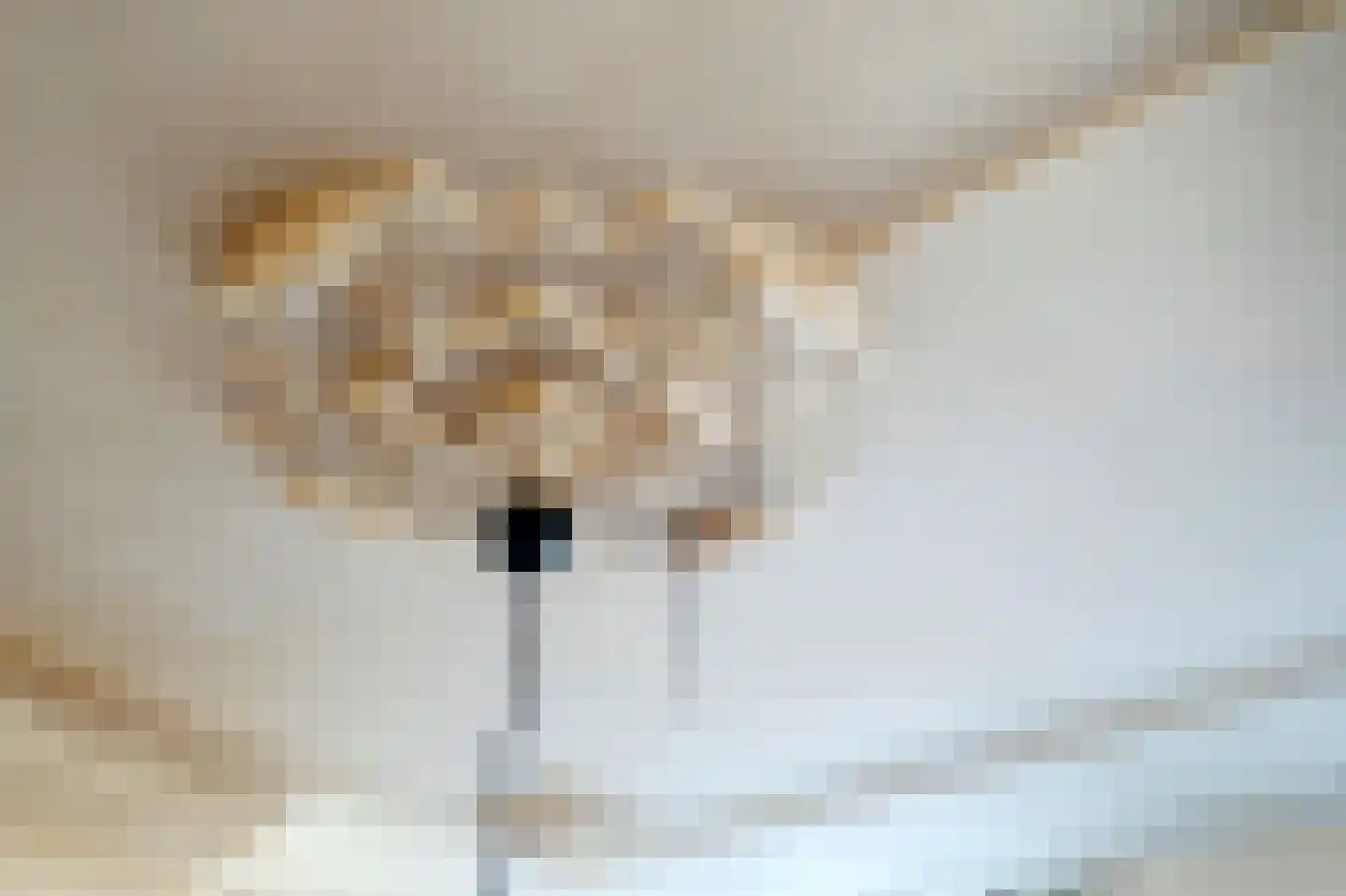 Damsterkade 4 Groningen thumbnail 7