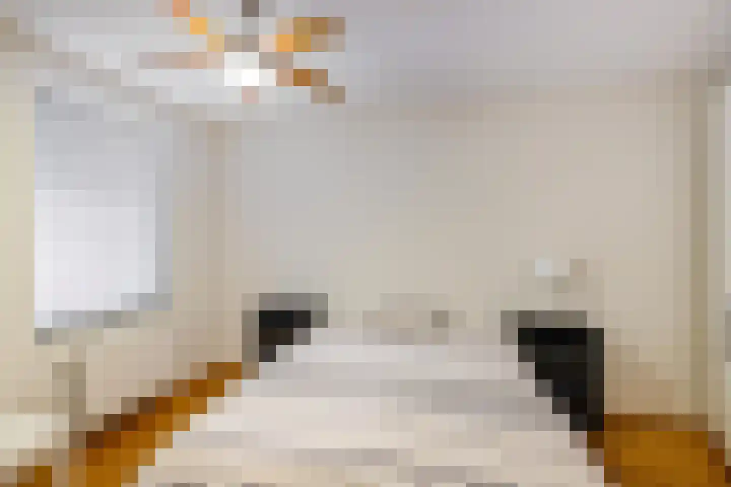 Damsterkade 8 4 Groningen thumbnail 24