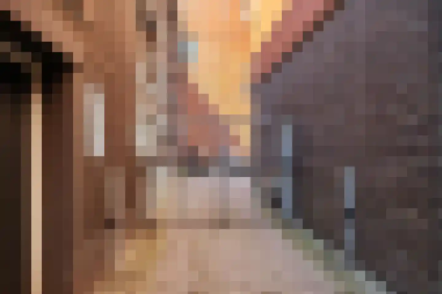 Damsterkade 8 4 Groningen thumbnail 4