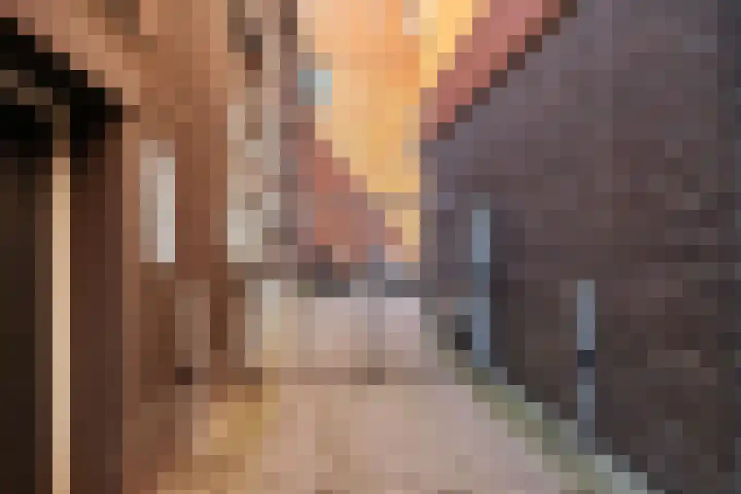 Damsterkade 8 4 Groningen thumbnail 4