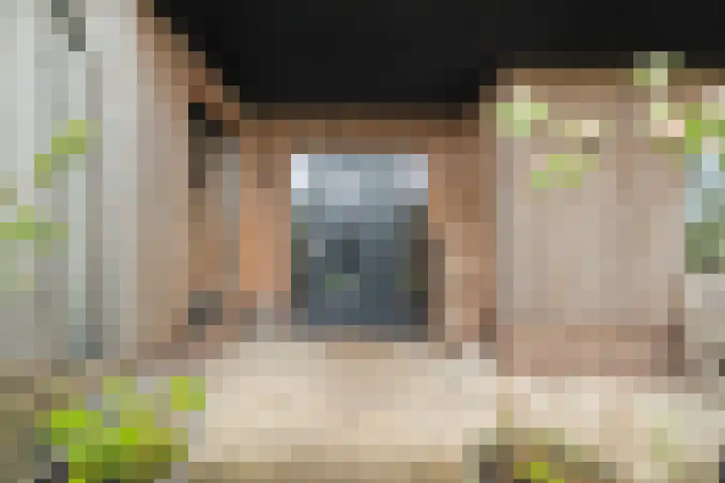 Damsterpad 1 Westerland thumbnail 10