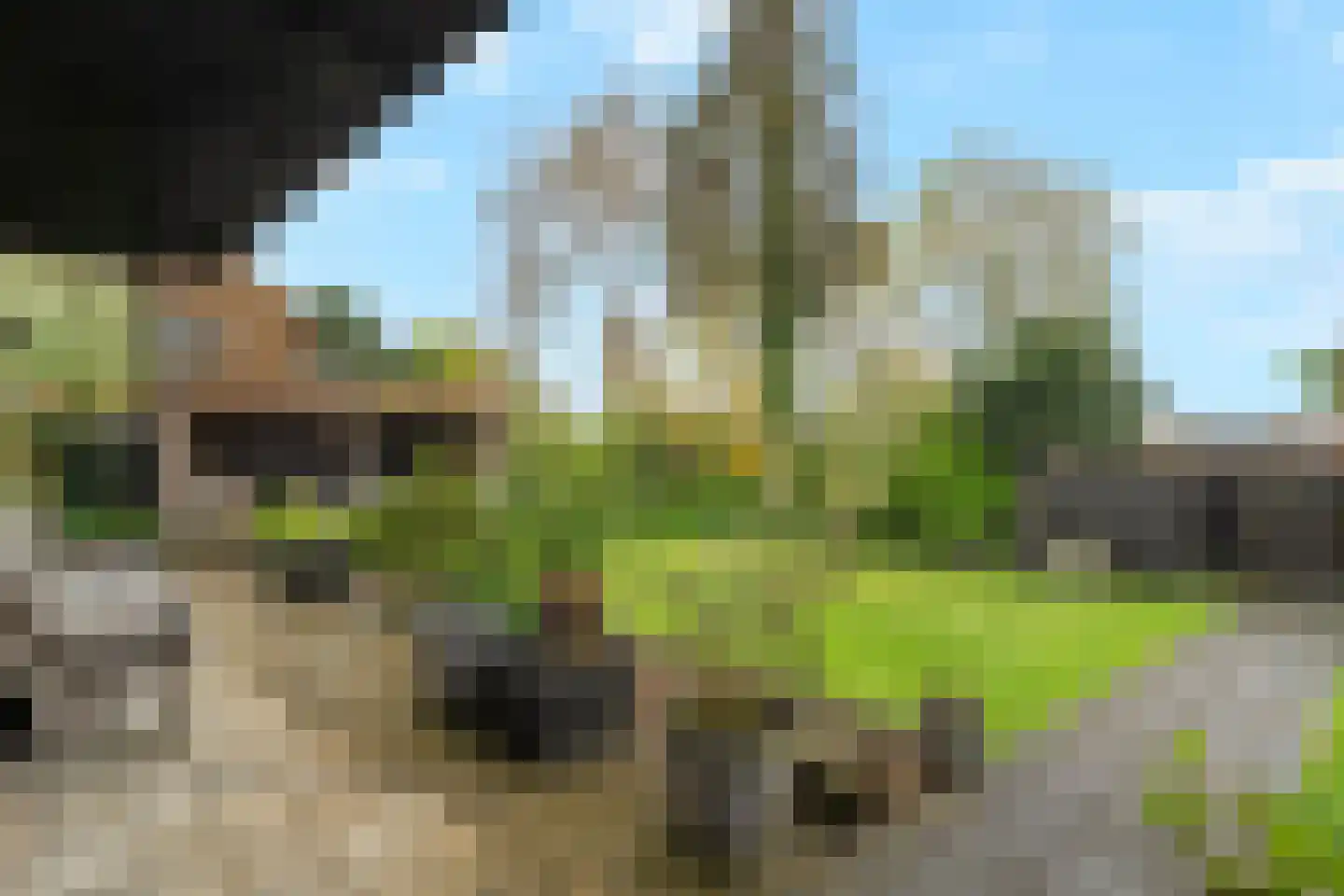 Damsterpad 1 Westerland thumbnail 11