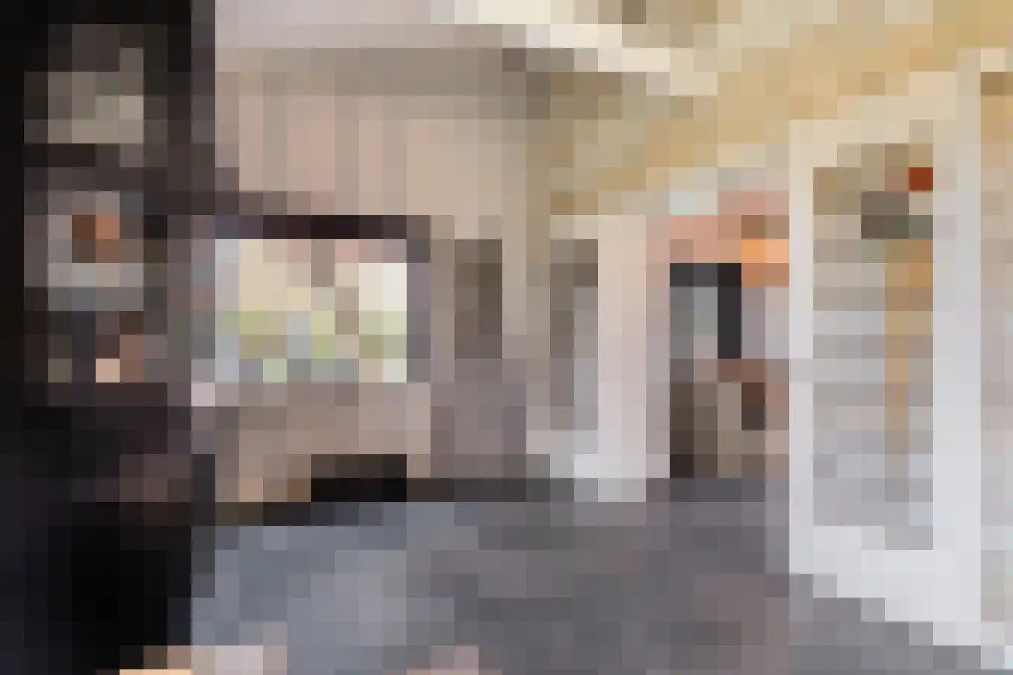 Damsterpad 1 Westerland thumbnail 20