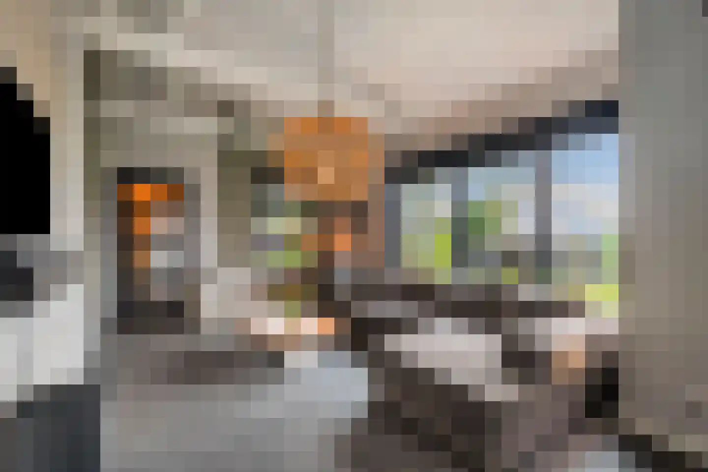 Damsterpad 1 Westerland thumbnail 21
