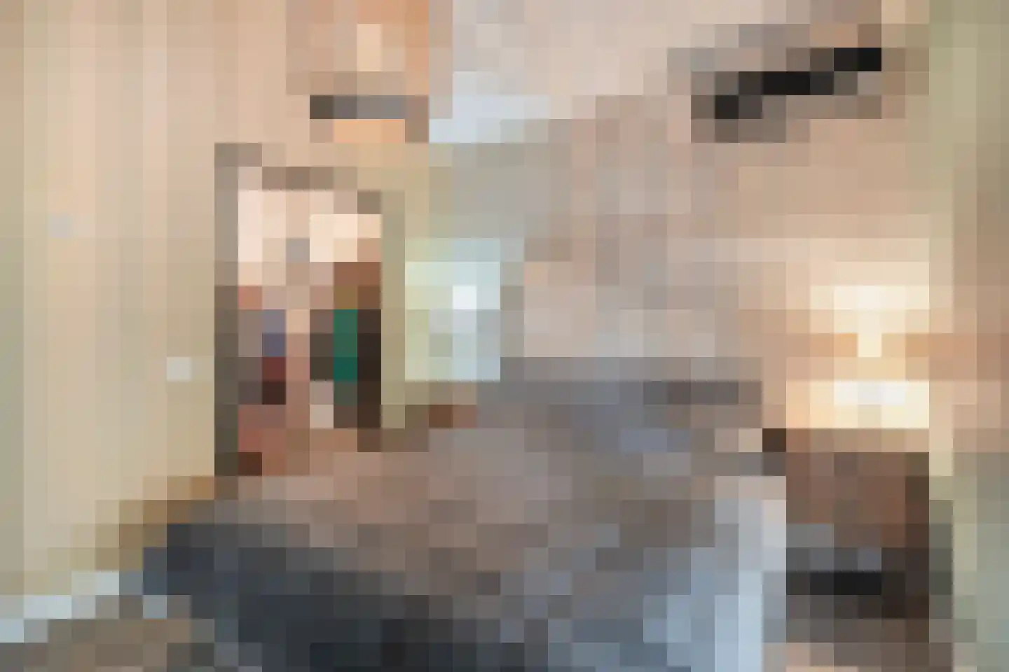 Damsterpad 1 Westerland thumbnail 28