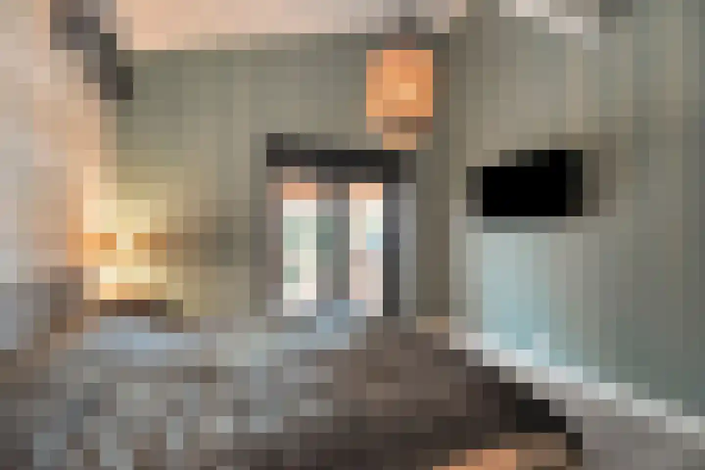 Damsterpad 1 Westerland thumbnail 31