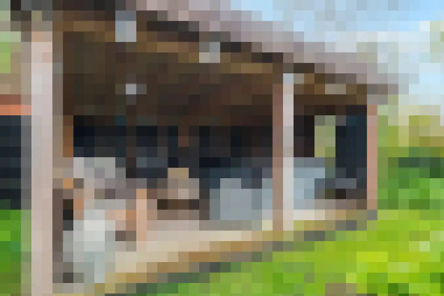 Damsterpad 1 Westerland thumbnail 44