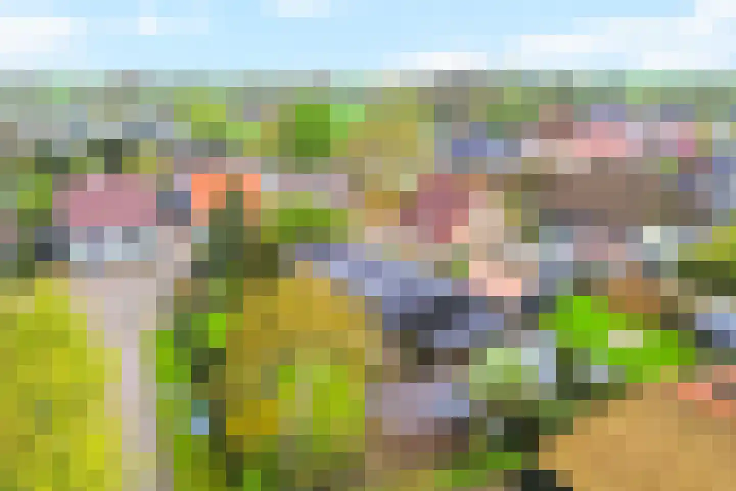 Damsterpad 1 Westerland thumbnail 45