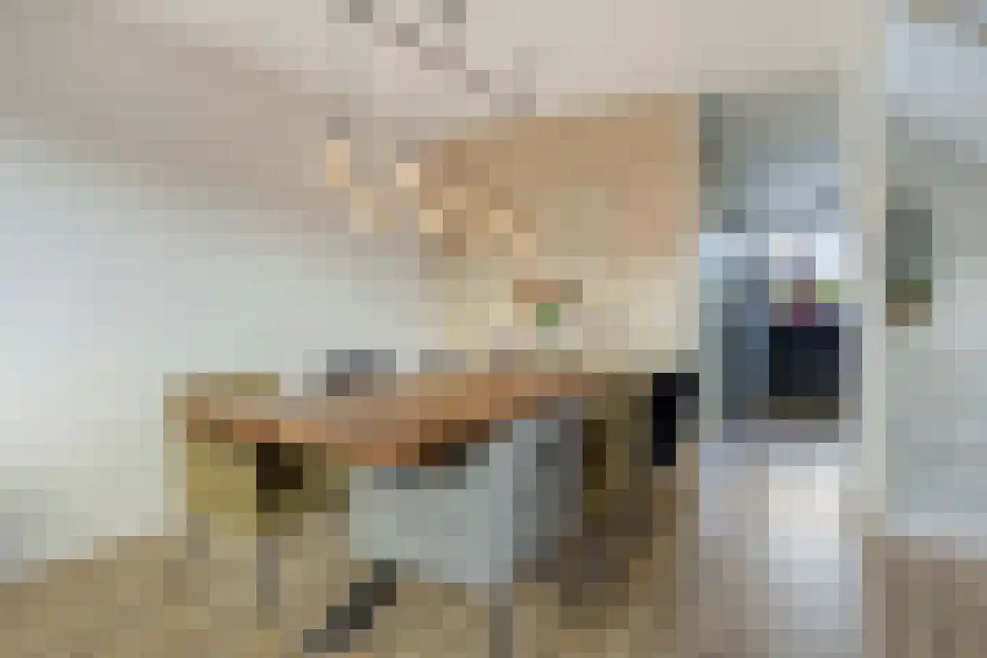 Damsterwaard 10 Groningen thumbnail 17