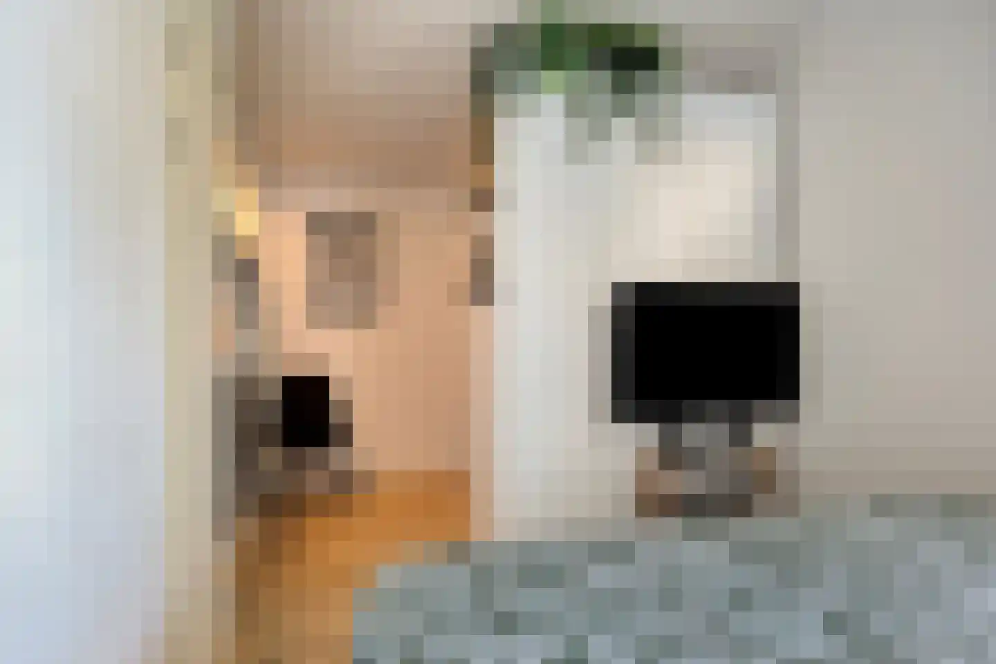 Damsterwaard 10 Groningen thumbnail 27