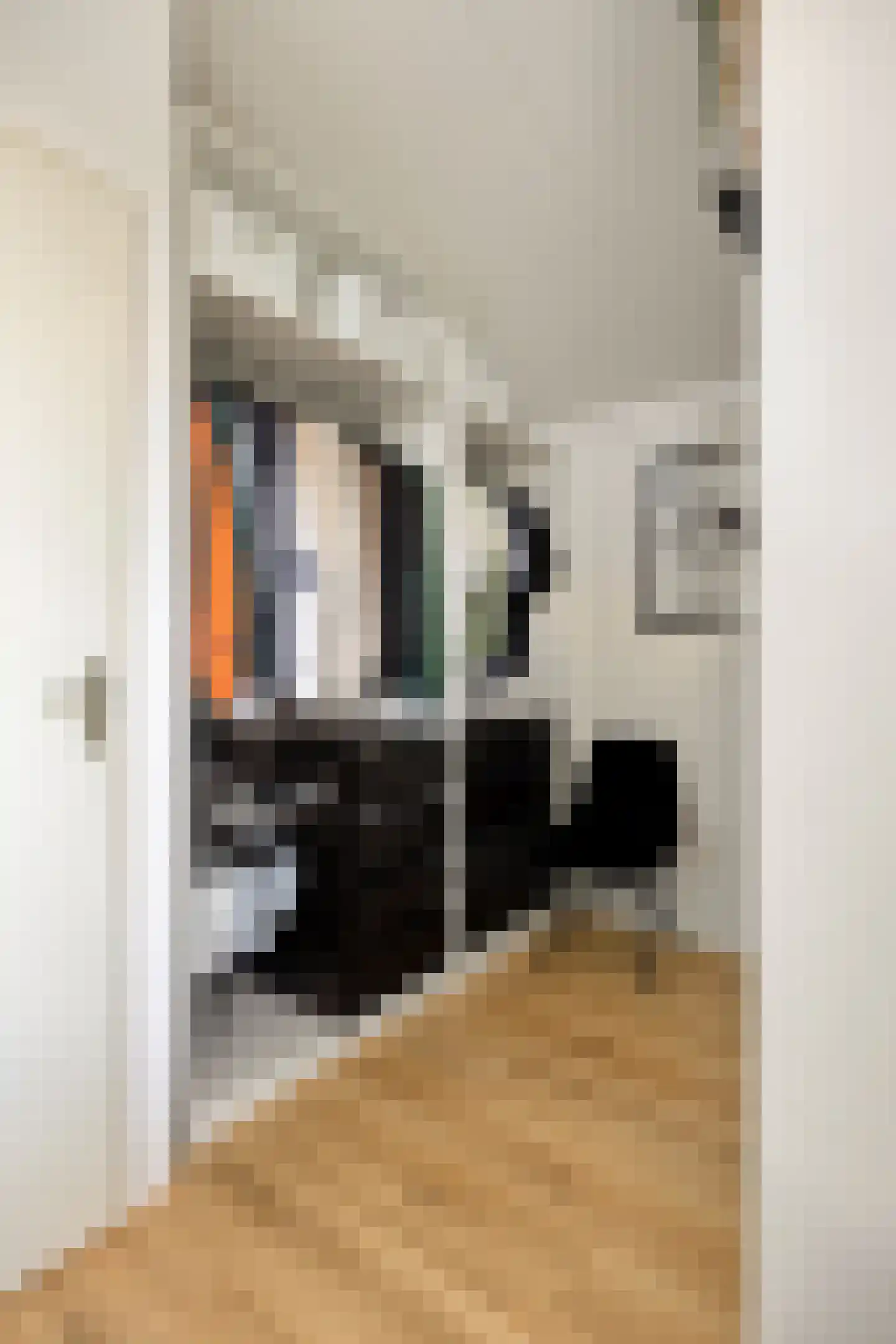 Damsterwaard 10 Groningen thumbnail 28