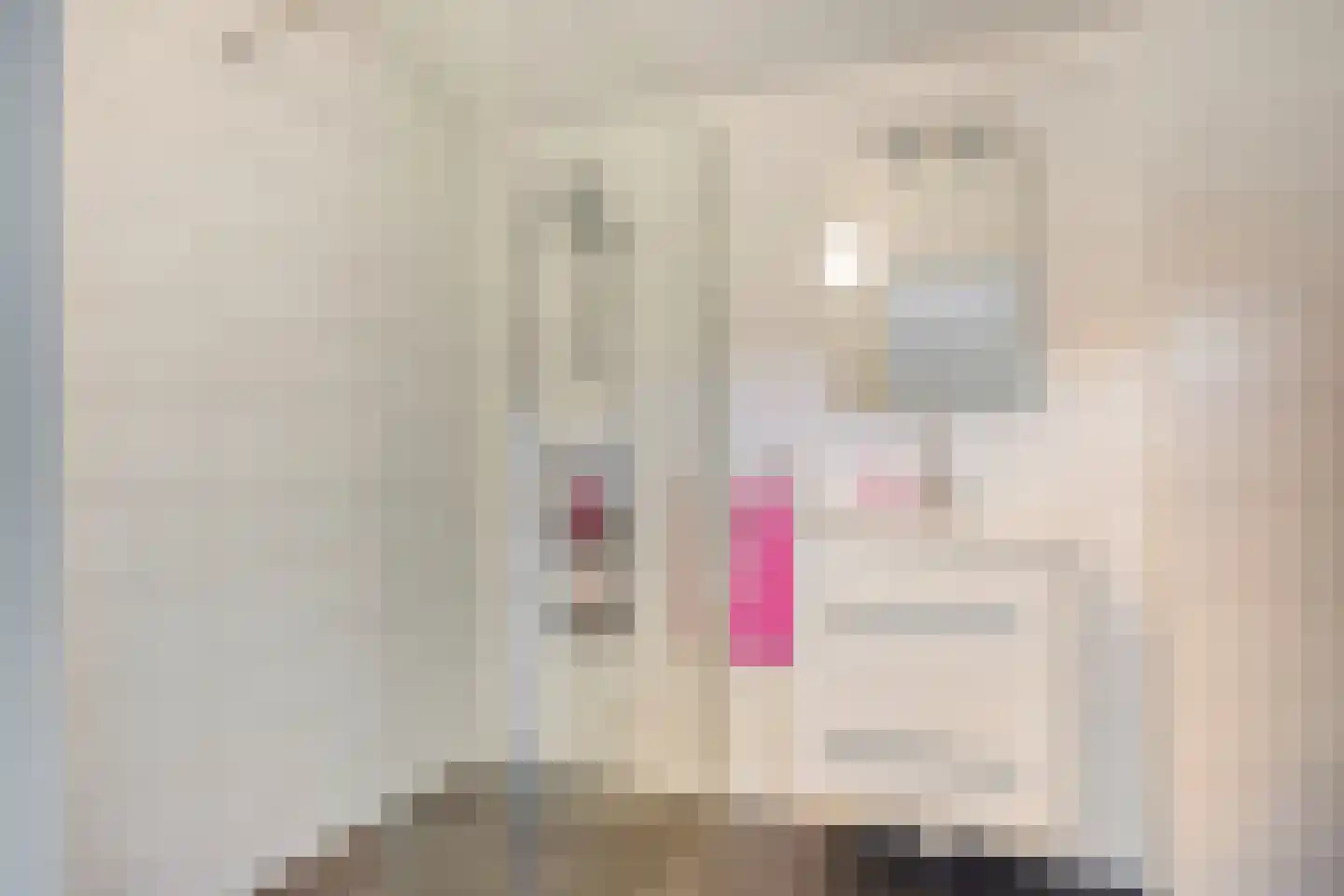 Damsterwaard 10 Groningen thumbnail 8