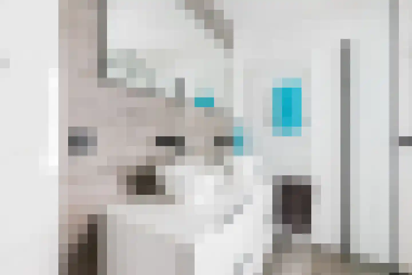 Damsterwaard 108 Groningen thumbnail 33