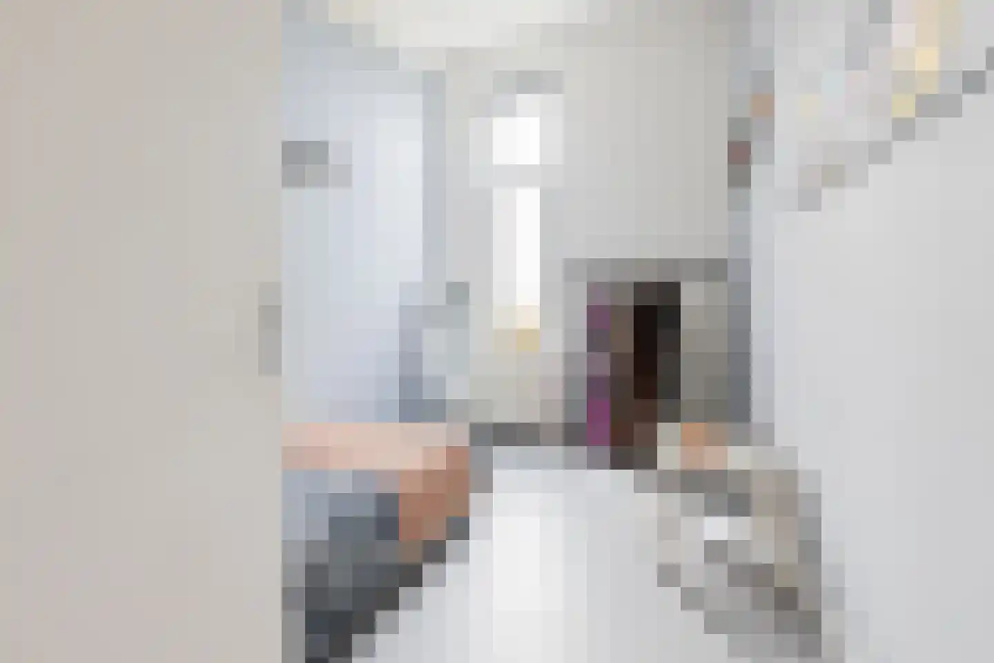 Damsterwaard 108 Groningen thumbnail 38