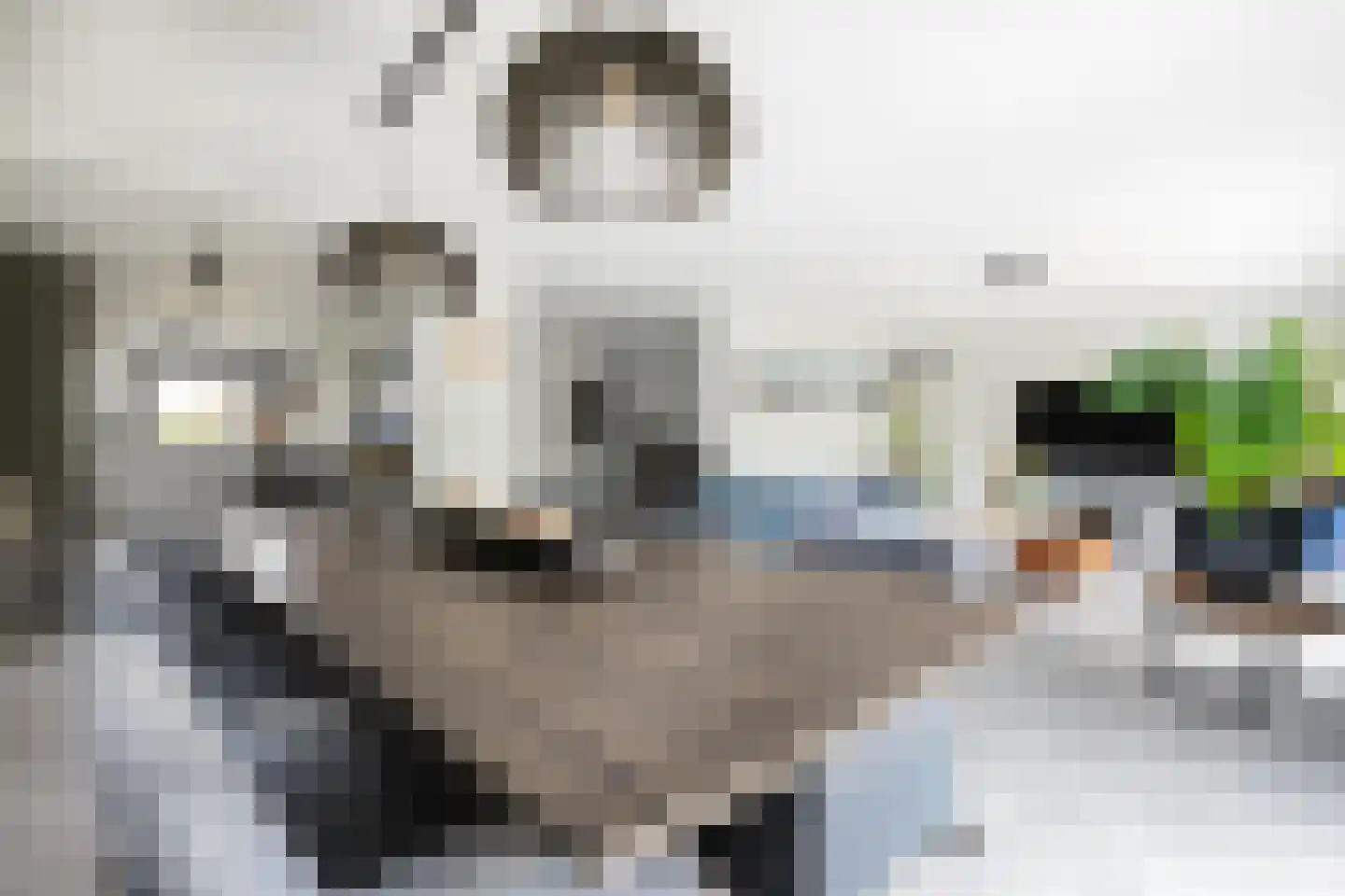 Damsterwaard 108 Groningen thumbnail 4