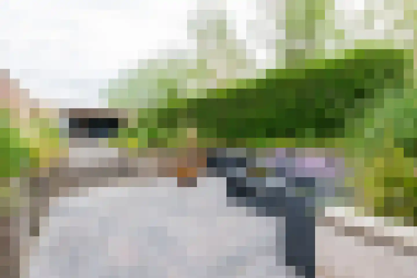 Damsterwaard 108 Groningen thumbnail 49