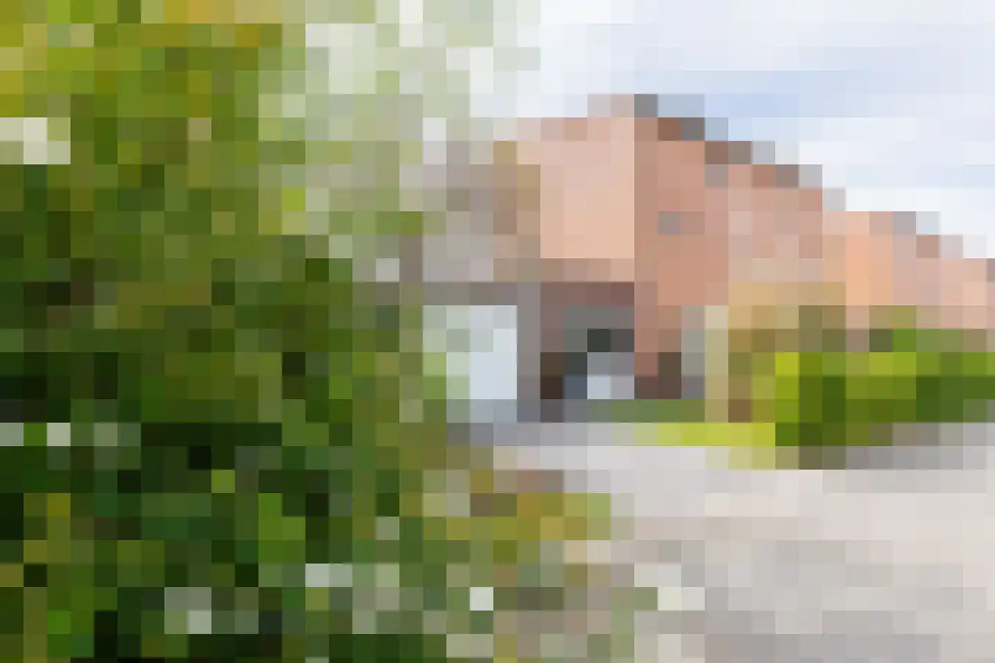 Damsterwaard 108 Groningen thumbnail 5