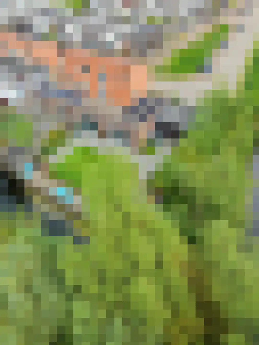 Damsterwaard 108 Groningen thumbnail 57