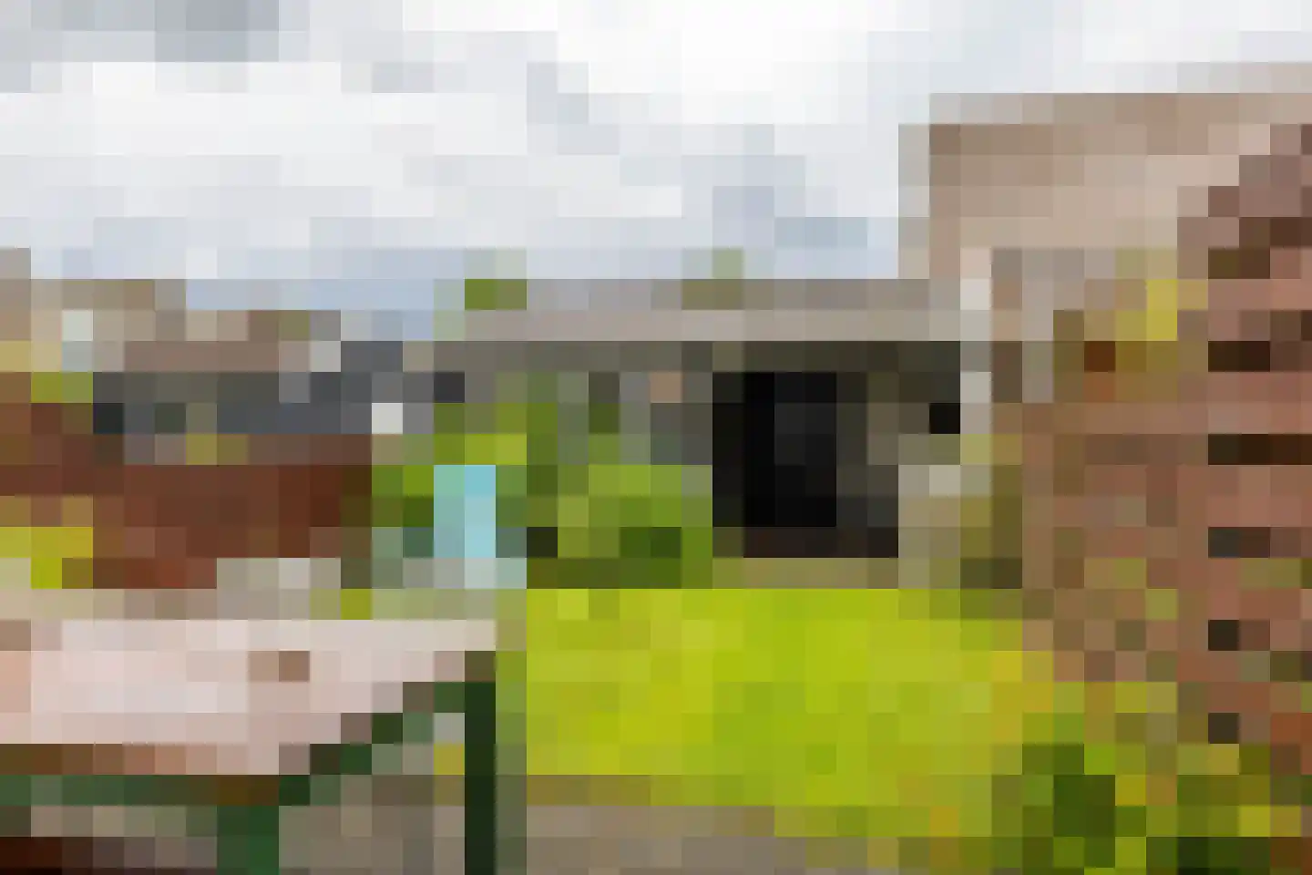 Damsterwaard 18 Groningen thumbnail 35
