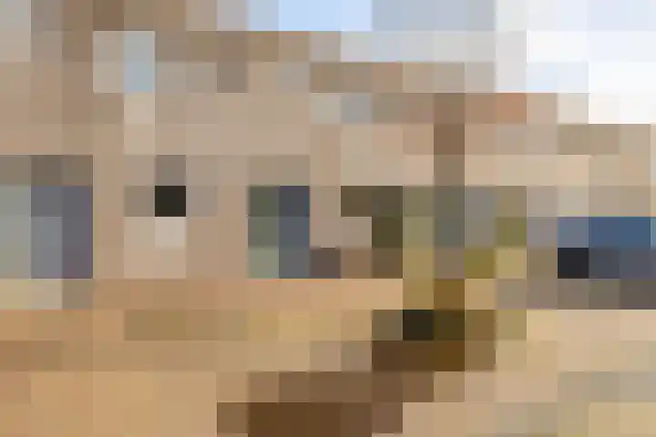Damsterwaard 42 Groningen thumbnail 10
