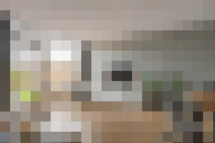 Damsterwaard 42 Groningen thumbnail 20