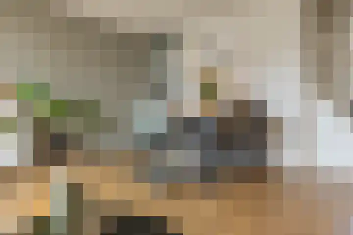Damsterwaard 42 Groningen thumbnail 26