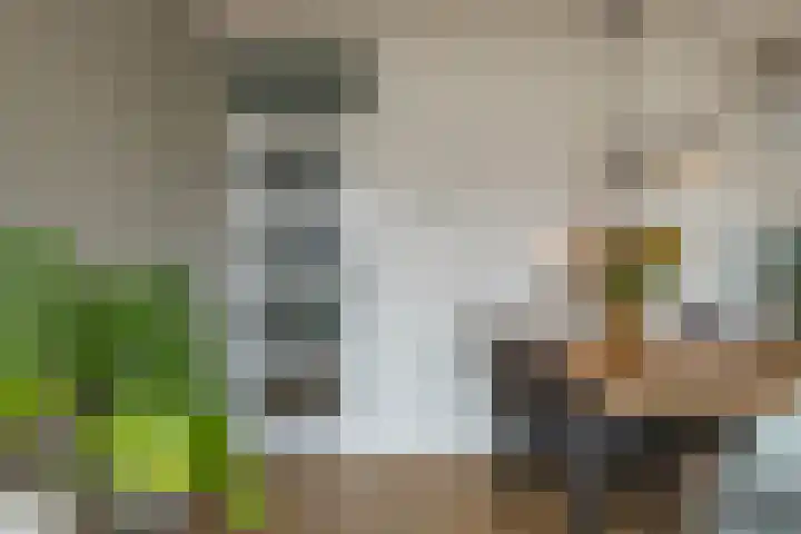 Damsterwaard 42 Groningen thumbnail 27