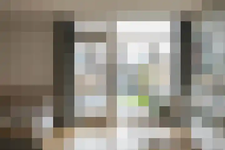 Damsterwaard 42 Groningen thumbnail 28