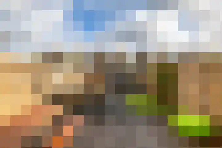 Damsterwaard 42 Groningen thumbnail 29