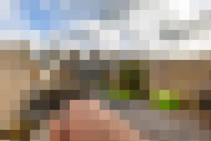Damsterwaard 42 Groningen thumbnail 30