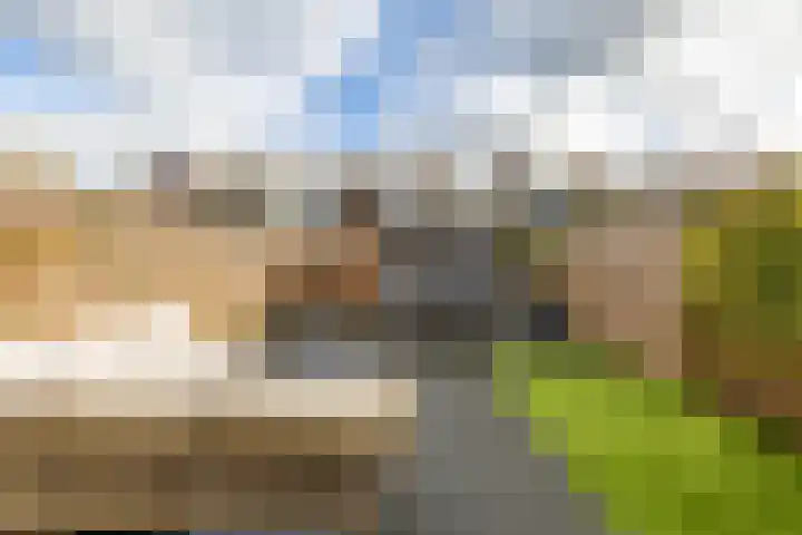 Damsterwaard 42 Groningen thumbnail 31