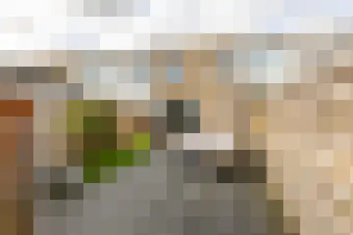 Damsterwaard 42 Groningen thumbnail 32